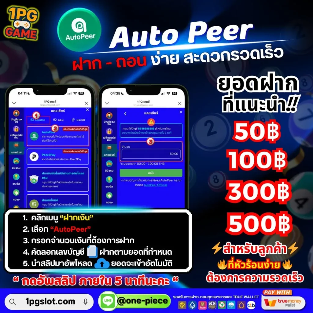 1piece game wallet